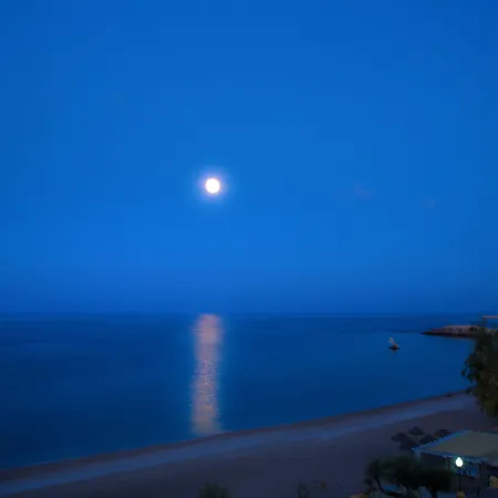 호텔 메디터레이니언