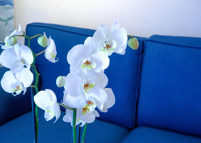 Mediterranean Отель Родос