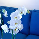 Mediterranean Отель Родос
